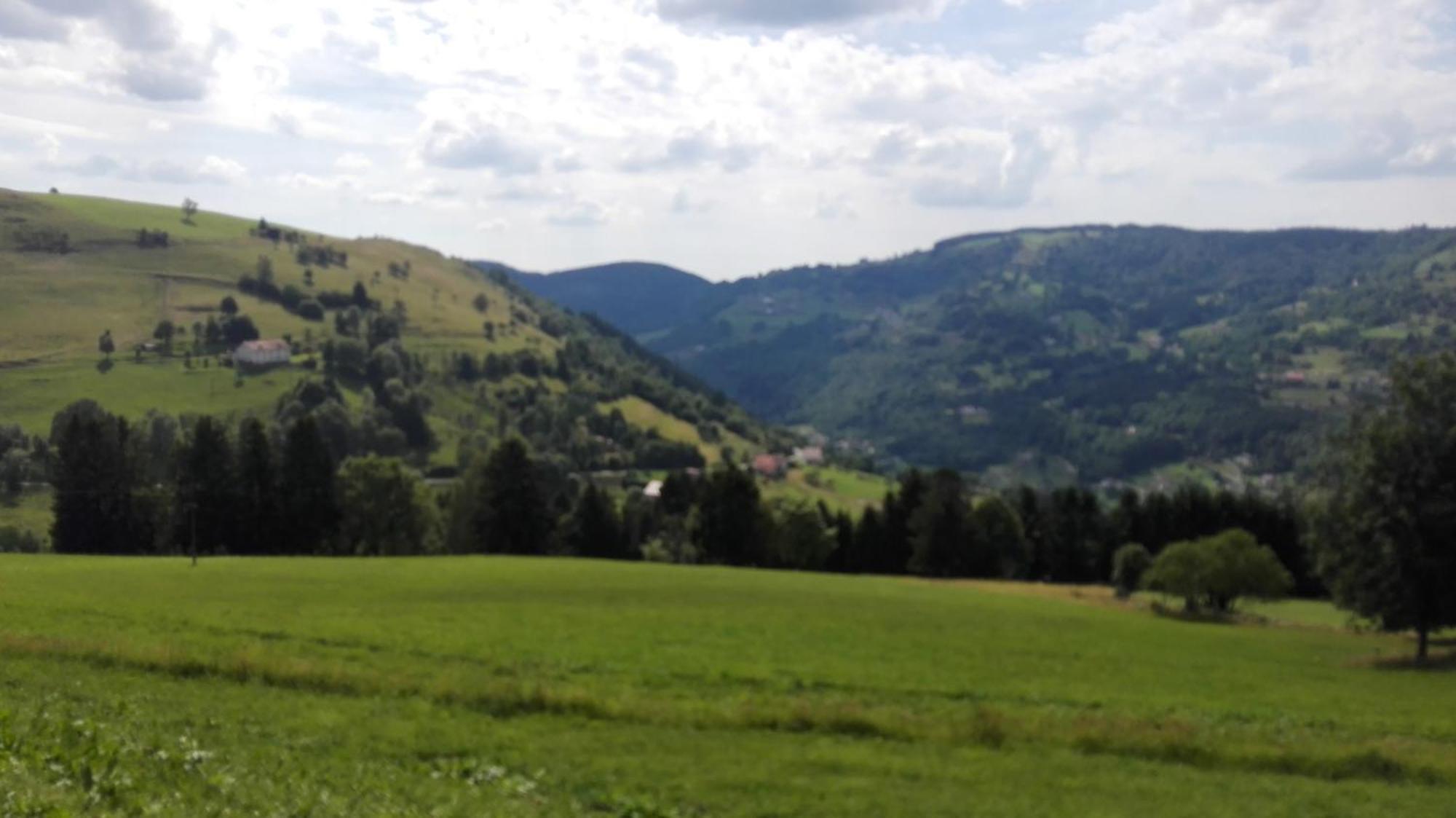 La Bressaude - Vacances-En-Vosges - Menage Compris La Bresse Kültér fotó