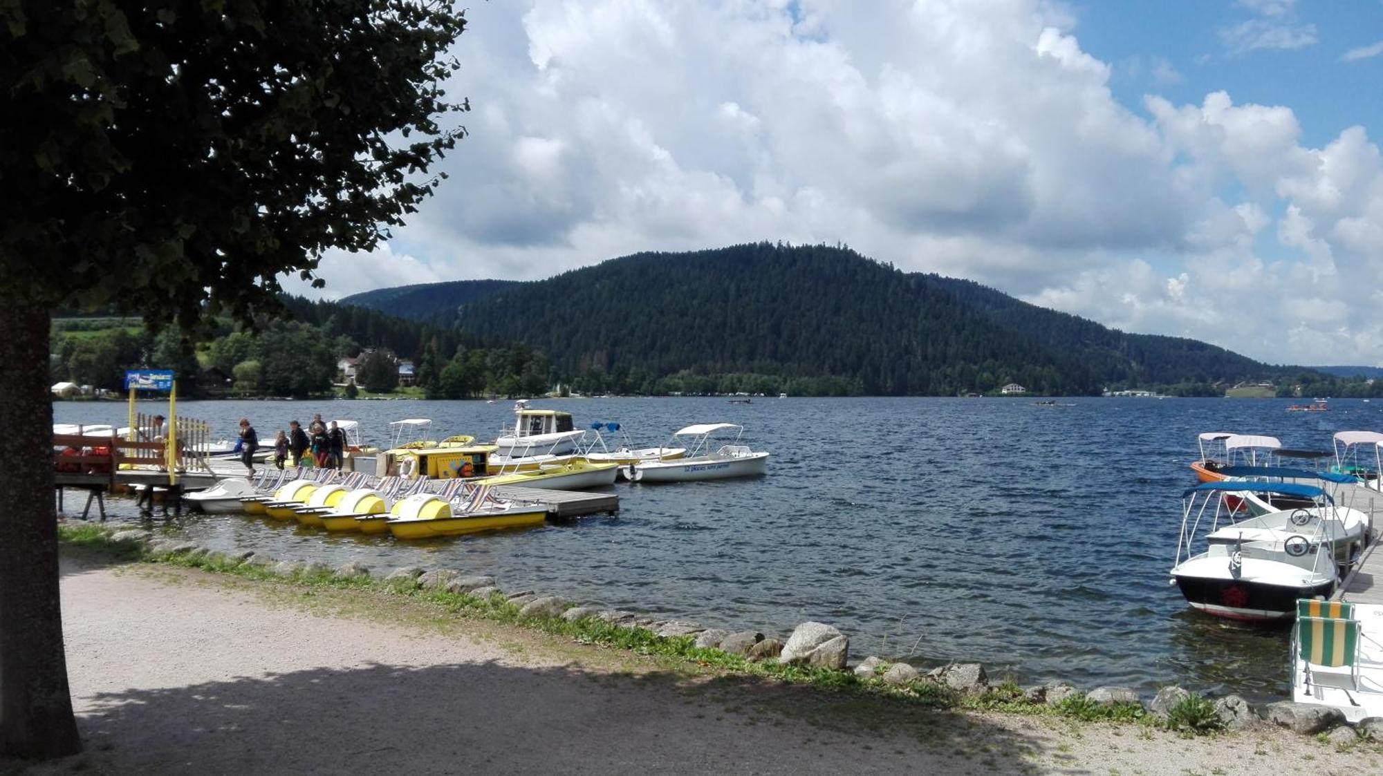 La Bressaude - Vacances-En-Vosges - Menage Compris La Bresse Kültér fotó