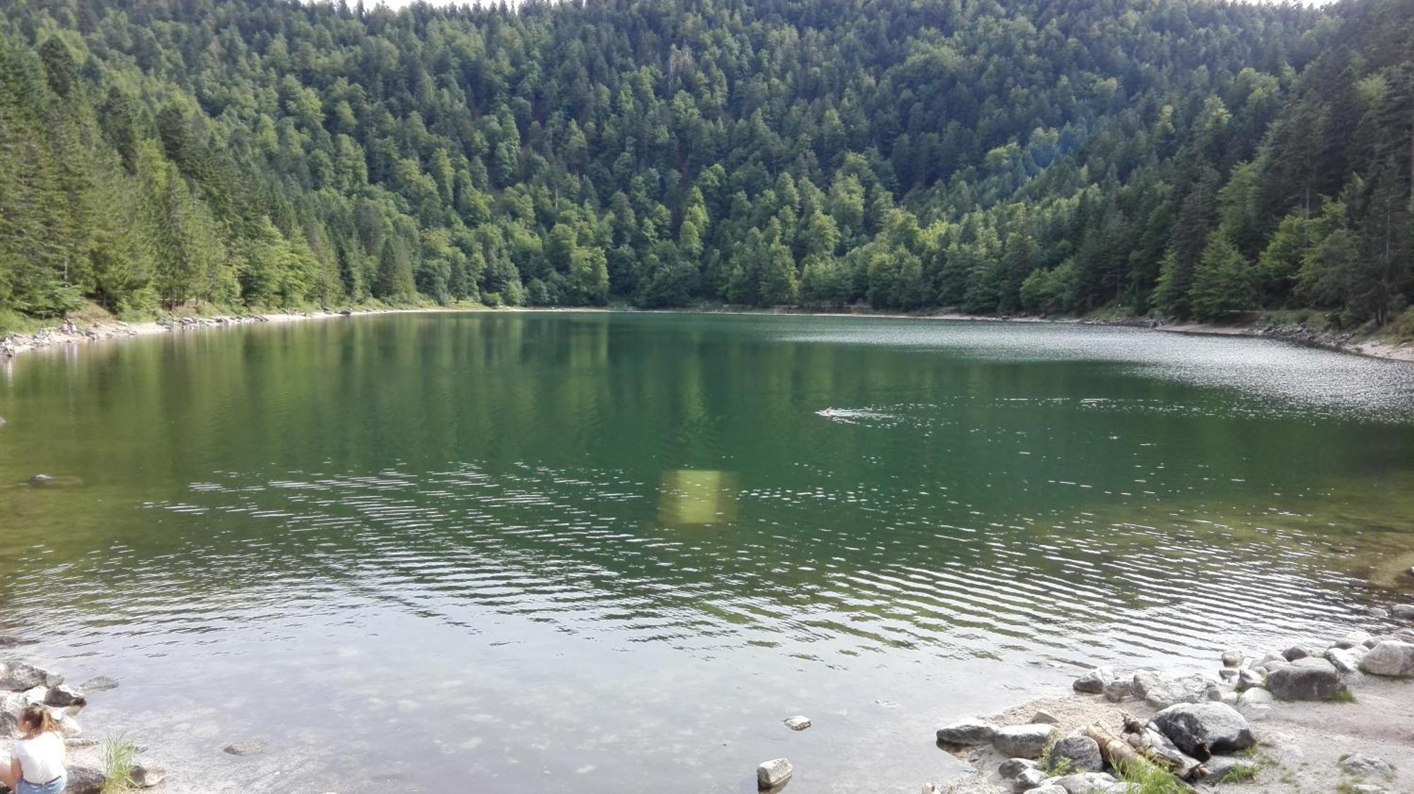 La Bressaude - Vacances-En-Vosges - Menage Compris La Bresse Kültér fotó