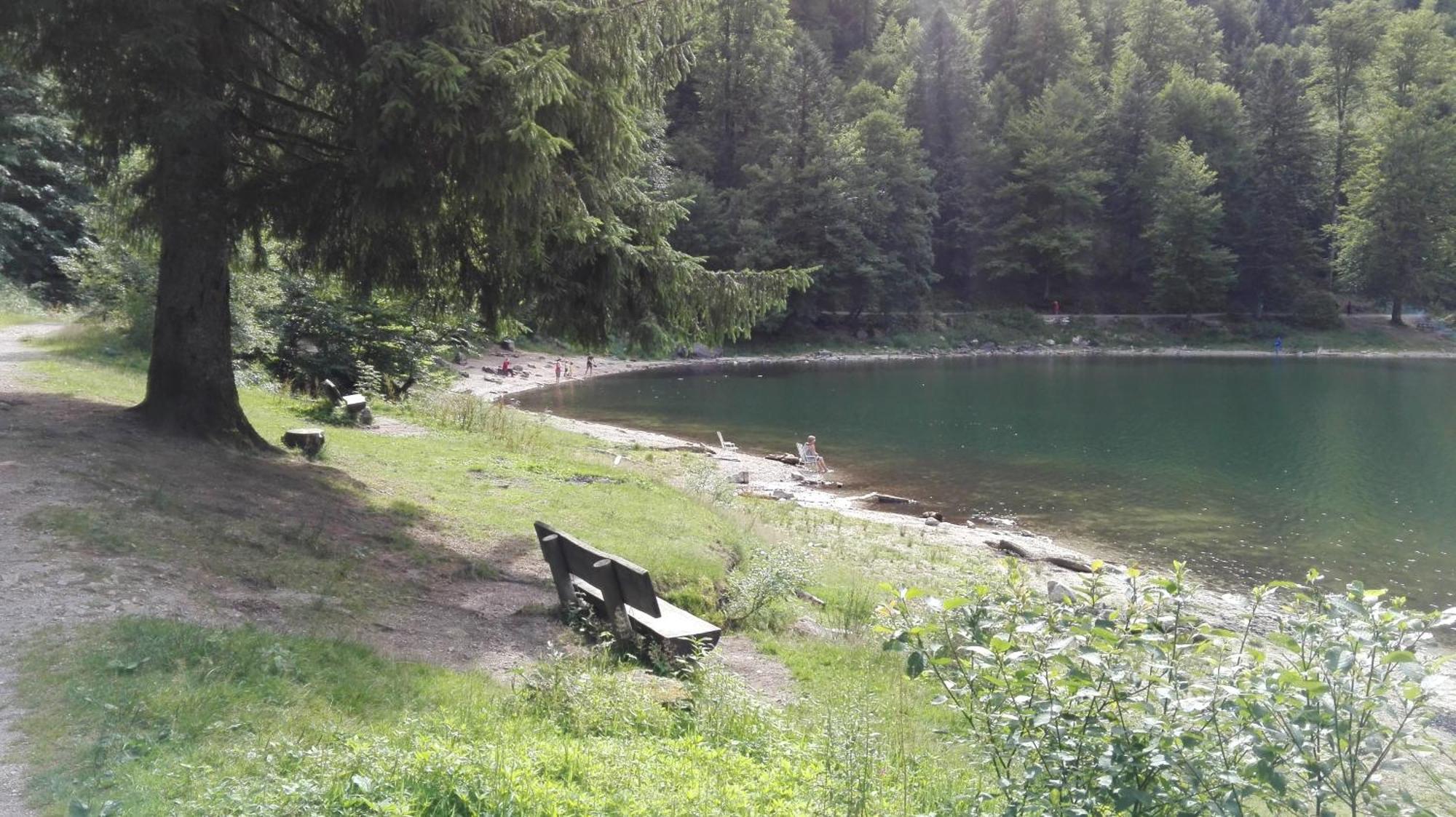 La Bressaude - Vacances-En-Vosges - Menage Compris La Bresse Kültér fotó