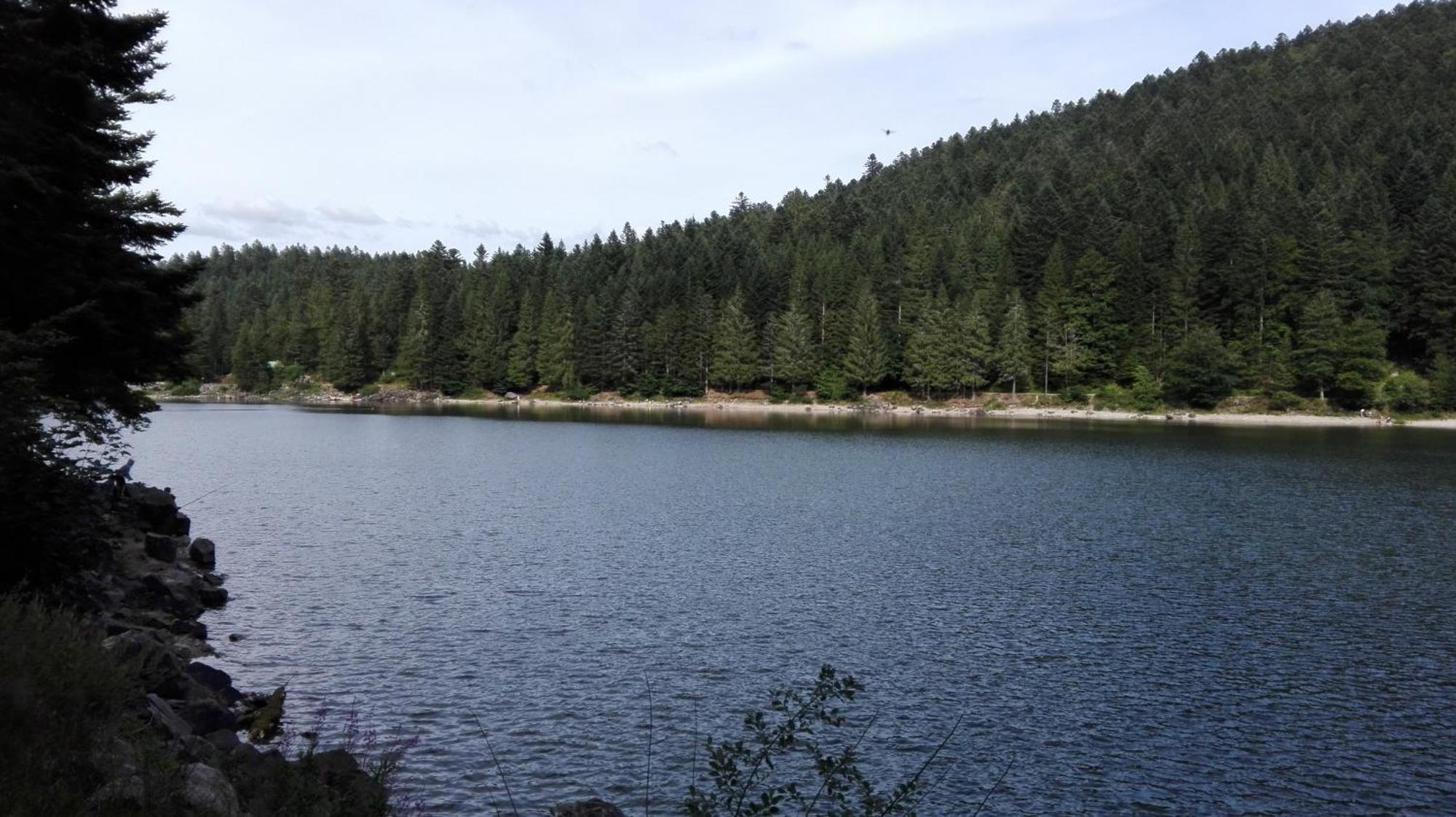 La Bressaude - Vacances-En-Vosges - Menage Compris La Bresse Kültér fotó