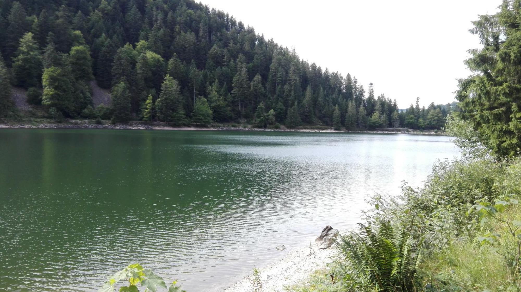 La Bressaude - Vacances-En-Vosges - Menage Compris La Bresse Kültér fotó